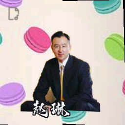 赵琳